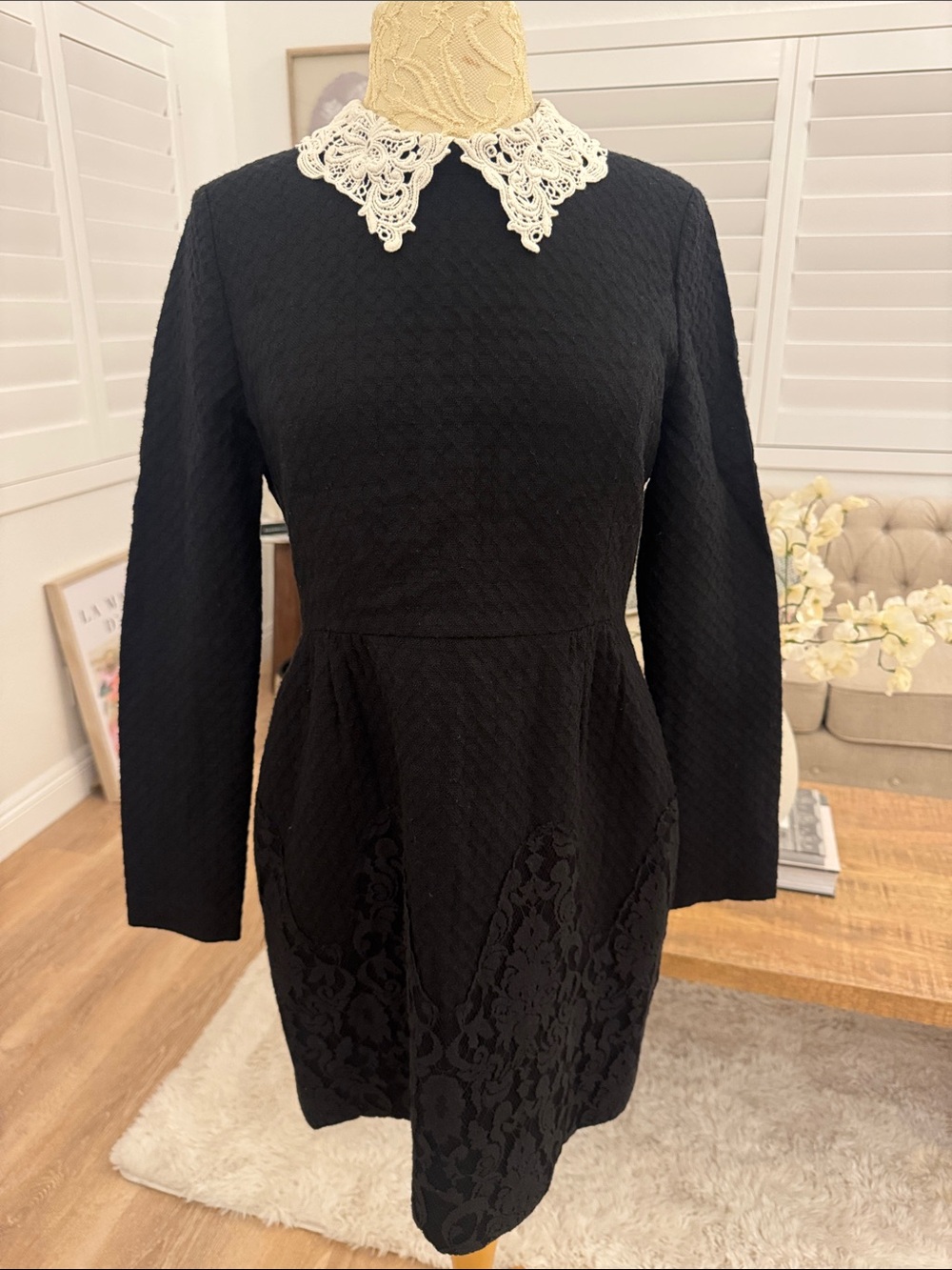 Black Long-Sleeve Dress with Cream Lace Collar